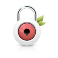 Customer Pin (Quick Verification Tool)