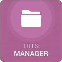 Files Manager