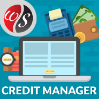 Credit Manager
