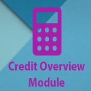 Credit Overview
