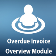 Overdue Invoice Overview