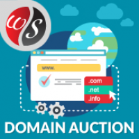 Domain Auction