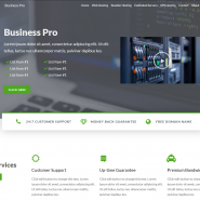 Business Pro WordPress Hosting Theme - WHMCS 7.7 + Ready