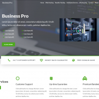 Business Pro WordPress Hosting Theme - WHMCS 7.7 + Ready