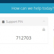 Open Source / Support PIN Customer Verification / One Time Payment