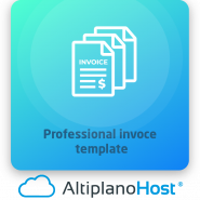 Professional invoce template 