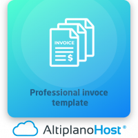 Professional invoce template 