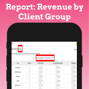 Revenue by Client Group - Opensource