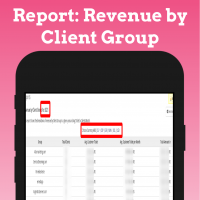 Revenue by Client Group - Opensource