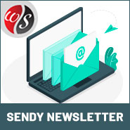 Sendy Newsletter
