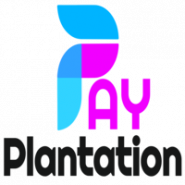 PAY Plantation®