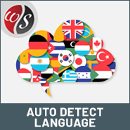 Auto Detect Language