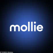 Mollie Payments Addon