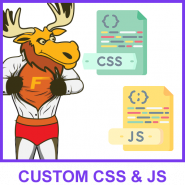 Easy Custom CSS & JS