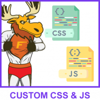 Easy Custom CSS & JS