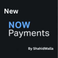 NowPayment Gateway