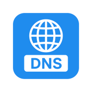 Nameserver Details Widget Hook