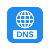 Nameserver Details Widget Hook