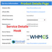 Hosting Service Information