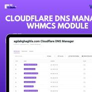 Cloudflare DNS Manager WHMCS Module