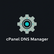 cPanel DNS Manager