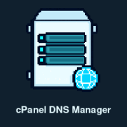 cPanel DNS Manager