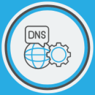 DNS Manager for HestiaCP