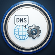 DNS Manager for HestiaCP