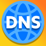 DNS Manager for cPanel