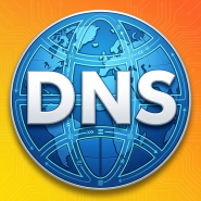DNS Manager for cPanel