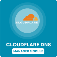 Cloudflare DNS Manager