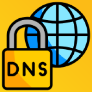 DNS Manager & Web Forwarding for 20i Hosting