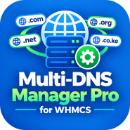 Multi-DNS Manager Pro 
