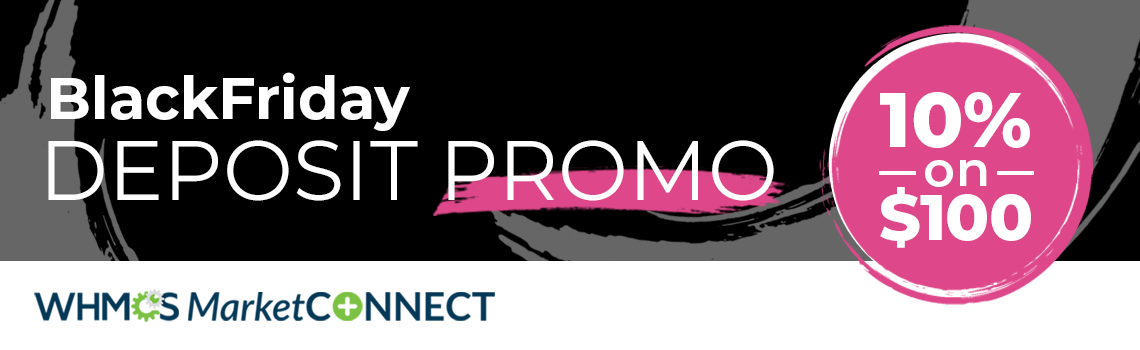 Deposit Promo 10% on $100