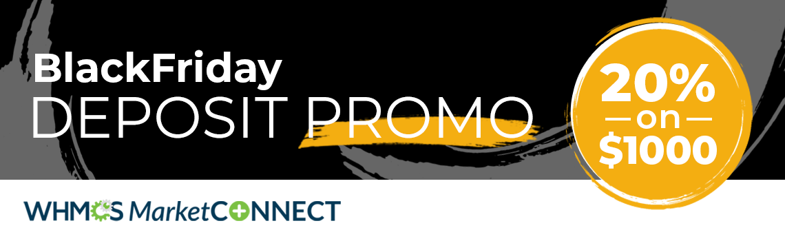 Deposit Promo 20% on $1000